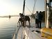 147_Bucht Mala Luka.JPG